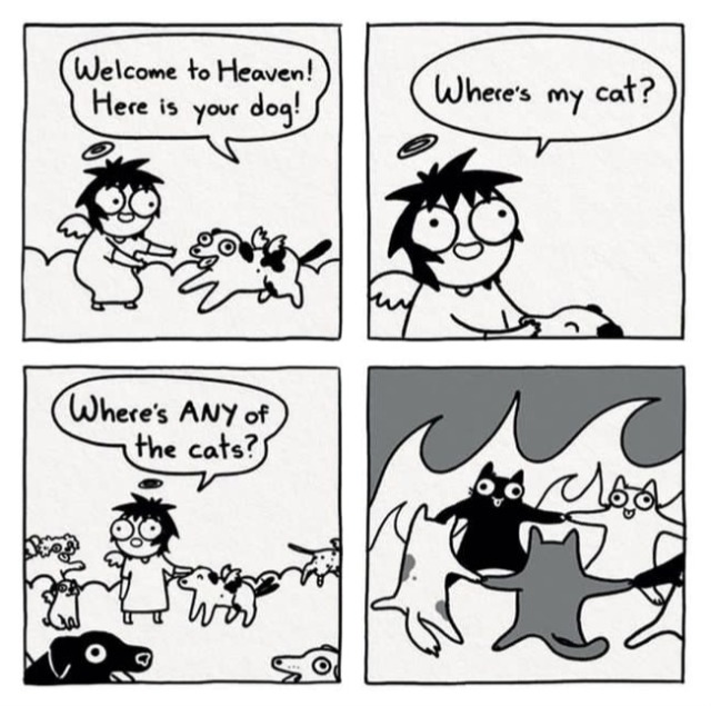 Featured image of post Sarah Anderson (1)